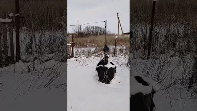 Дом с участком в селе Сухие Гаи Верхнехавского района Воронежской области.