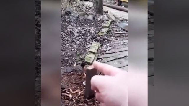 VID-20250220-WA0009