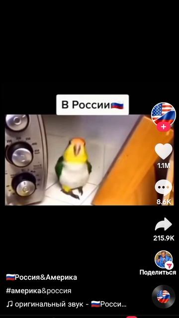 1000000300.mp4