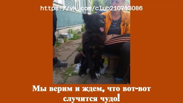 Они тоже хотят кушать!