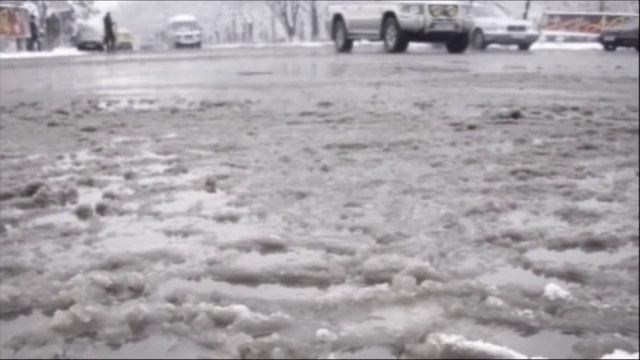 А. Вестов - Герань