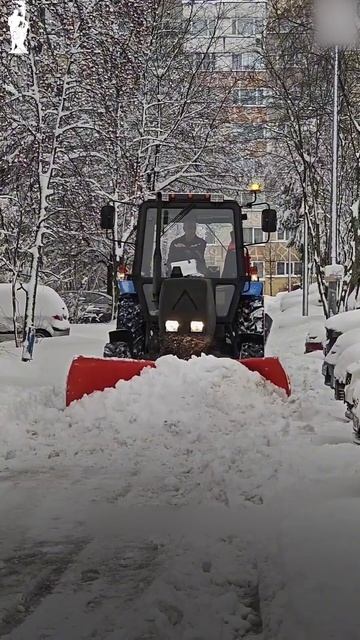 Отвал бабочка спасает улицы Петергофа