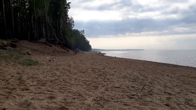 Максим в песке.