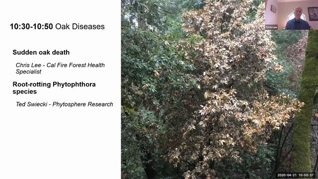 California Oak Health Workshop Q and A Webinar