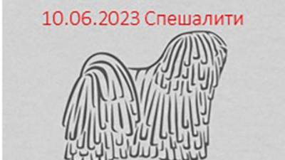 Россия 2023-1. 10.06.2023 Ринг спешалити. Сука Чемпион