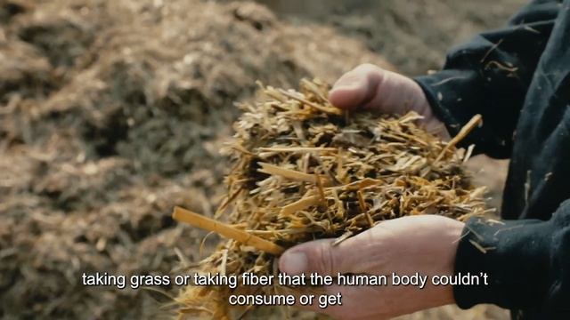 Farm Friday: Worms
