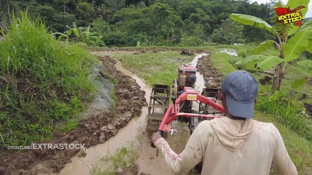 Libas Lahan Sempit! Traktor Sawah G1000 Bekerja Keras Mengolah Lahan Petak Kecil Sempit Bawah Bukit