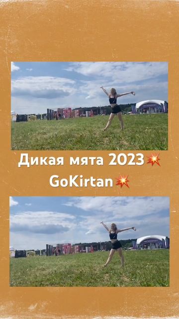 Дикая мята 2023💥