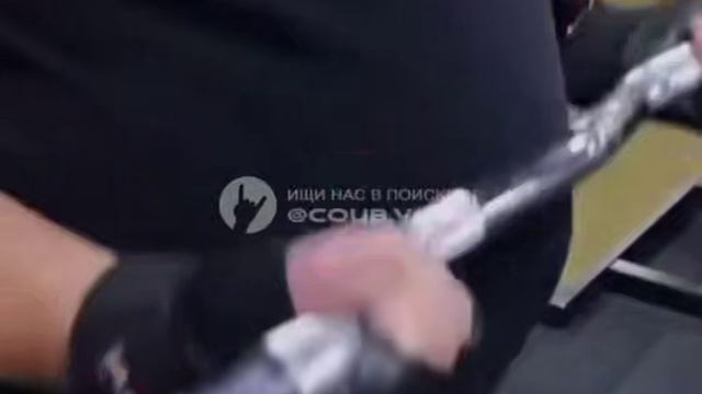 животики у котиков