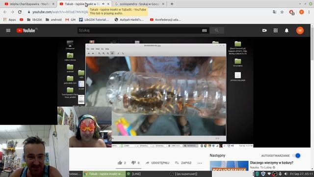 Tajska medyczna Scolopendra - Takab - lekarstswo ?