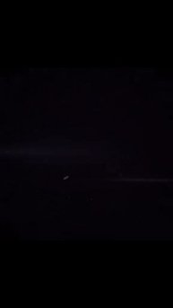 Эдит с Эдисоном ссылка на мой телеграмм канал в описании