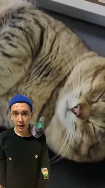 Просто милое видео😻