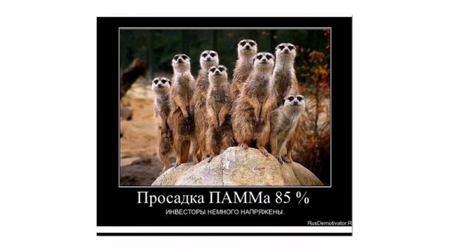 Юмор в трейдинге.