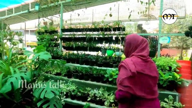 ഇൻഡോർ, ഔട്ട് ഡോർ ചെടികളുടെ നല്ലൊരു ശേഖരം