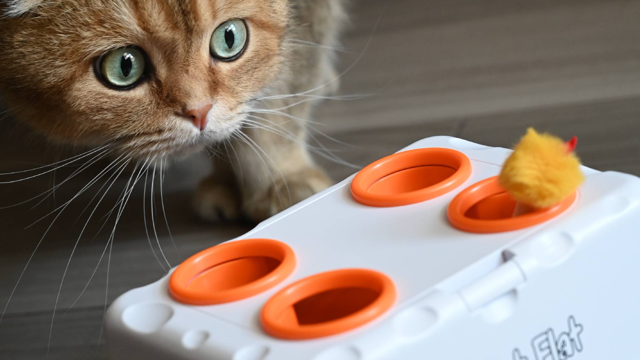 Pet Flat интерактивная игрушка для кошек Magic Box