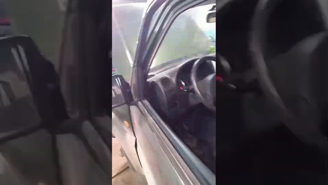 VID-20250217-WA0005.mp4