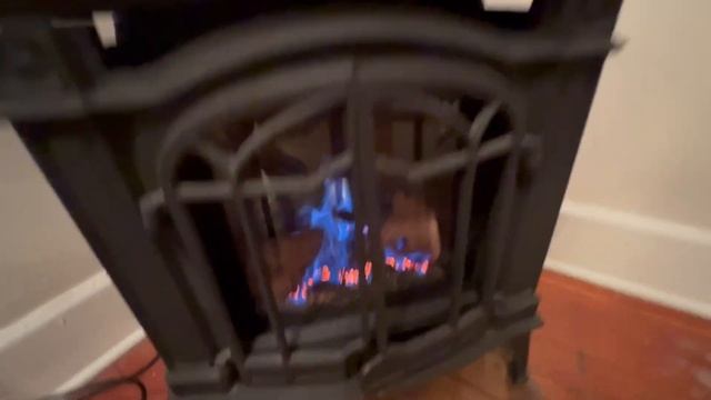 Napoleon Arlington 20 Cast Iron Direct Vent Metallic Black Natural Gas Stove - GDS20NE