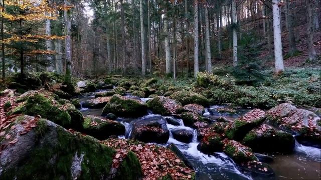 "Ливень" (Vlad Zurragch обр. Андрея Мартыненко, видео - Иван Ярош)