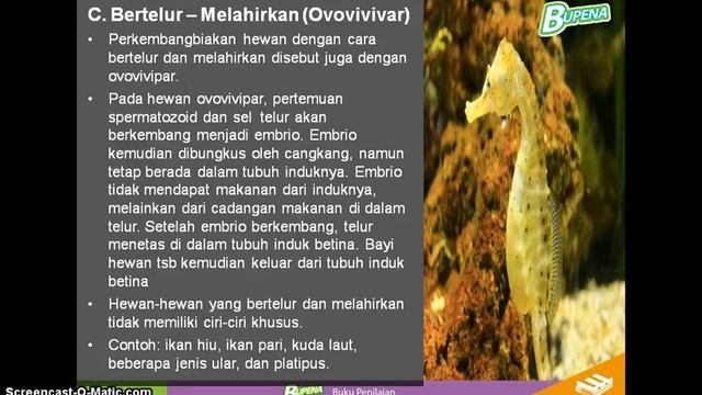 Perkembangbiakan Hewan