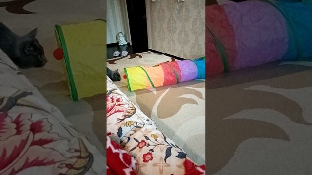 Жорик ненарадуется игрушке