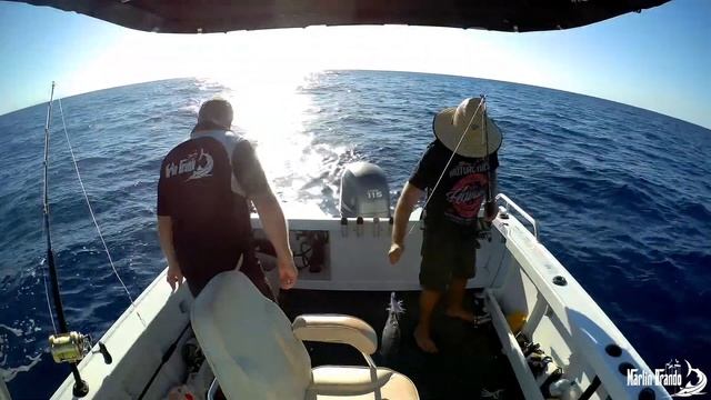 Cairns Big Black Marlin - First heavy tackle trip 2019 for Marlin Brando
