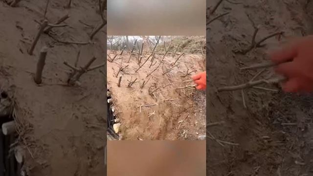 Как выкопать люкс окоп!)))