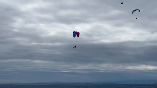 Видео от Парапланы на Кавказе - парадром Чегем, Пятигорск