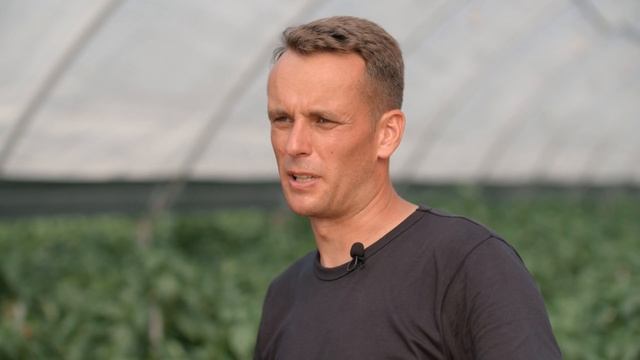 Poznajcie innowacyjne papryki Syngenta