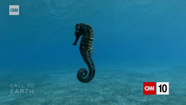 All About Science And Nature | September 21, 2021