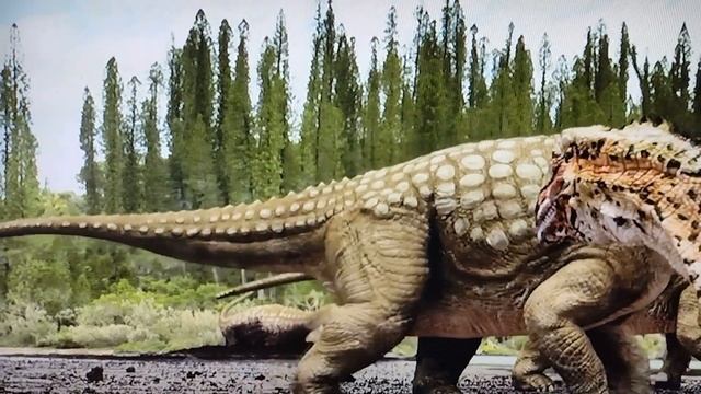 dinosaurs in the outback Diamantinasaurus