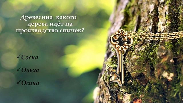 Волшебный ключ старого леса