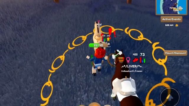 Catching the gulblakk fjord