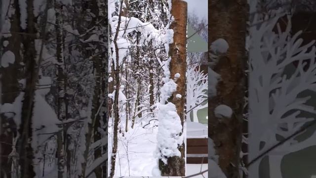 Староновогоднее #shorts
