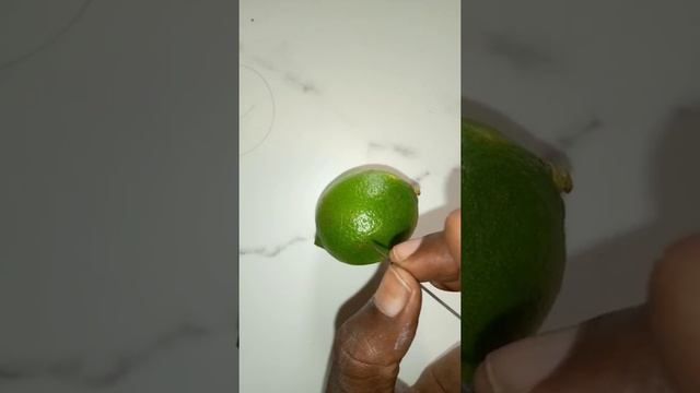 kou diémé yakh sen diganté dotouko nétali :00221766056319 (watshap )