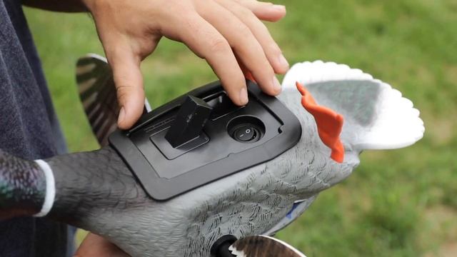 MOJO Mini Mallard Drake with Remote
