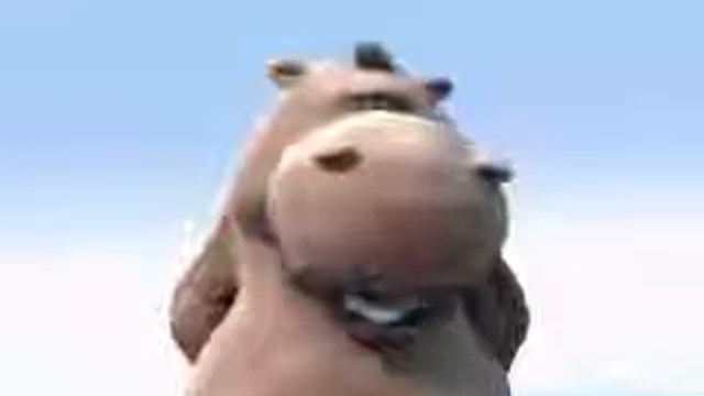 hippo song