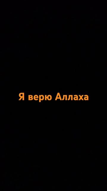 5 августа 2024 г.