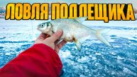 ПОДЛЕЩИК на Рузе и ловля СУДАКА с эхолотами