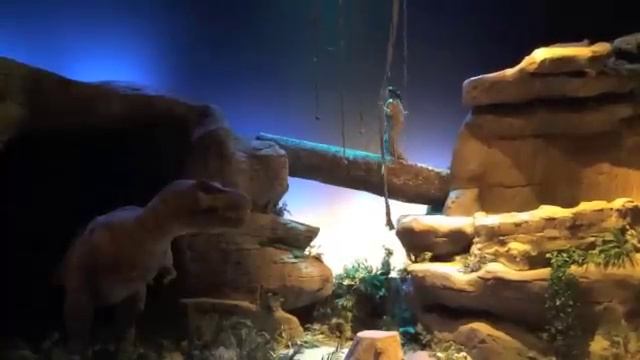 Dinopolis, parque paleontológico de Teruel. Novedades y espectáculos 2015