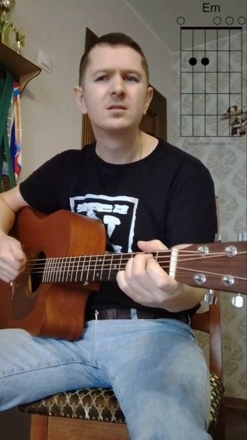 Алиса Небо Славян кавер на гитаре