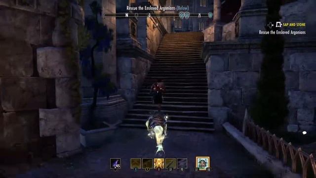 Elder Scrolls Online. Guar Rider