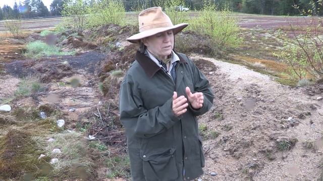 Pollinator Plantings (The Bee Module) for Maine Lowbush Blueberry