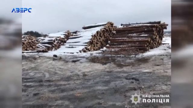 Обшуки на пилорамах: на Волині вилучили деревини на понад 800 тисяч