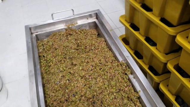 Así se hace el Vino Rosado