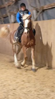 Света и Каспер. Галоп. #horse #equestrian #лошади #pony