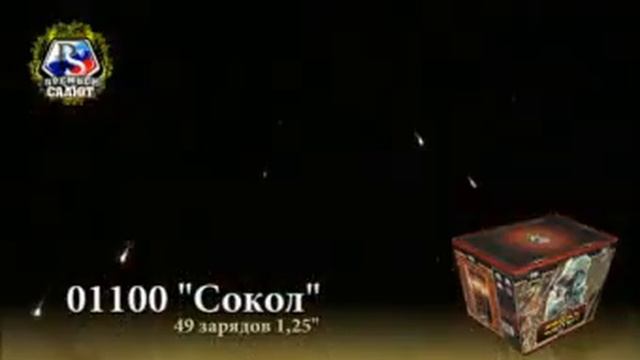 01100 Сокол