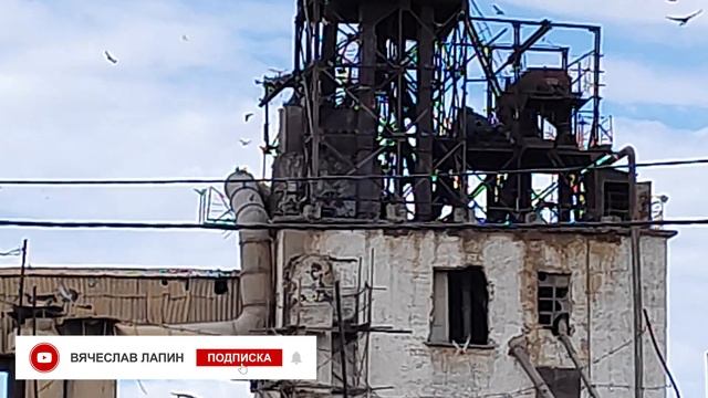 Сталкер