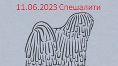 Кобели открытый класс 2