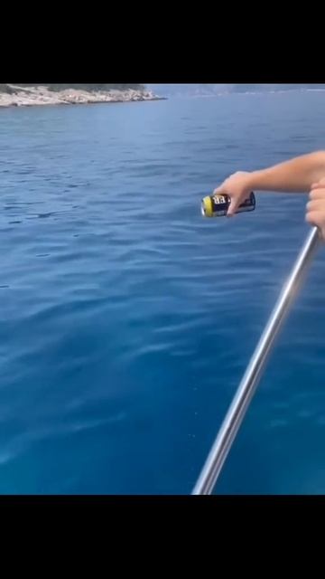 Как правильно подкармливать...😉✌️😂😂😂