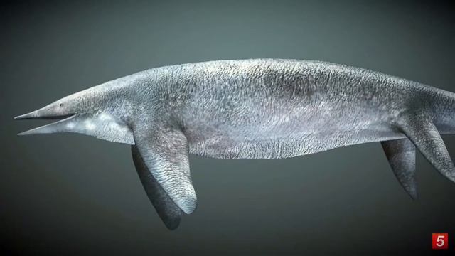 The largest creatures to ever live